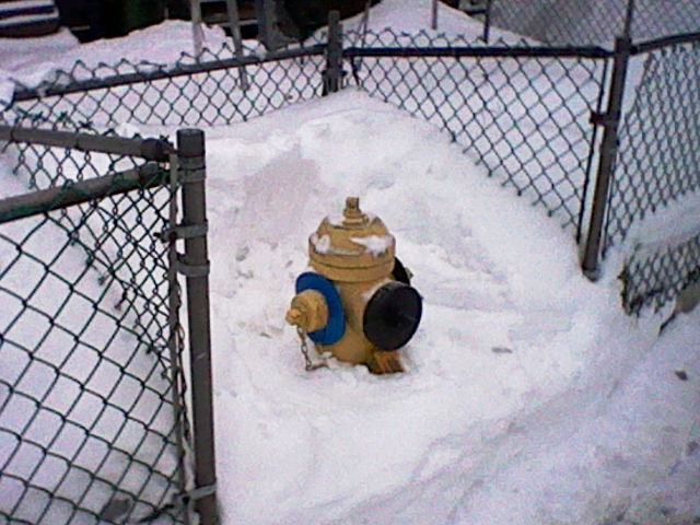 fire hydrant